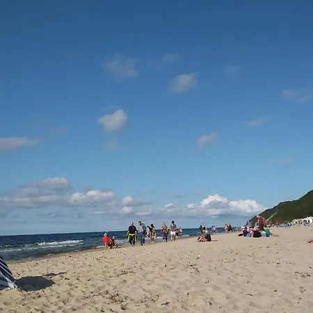 In Near Clean アパート