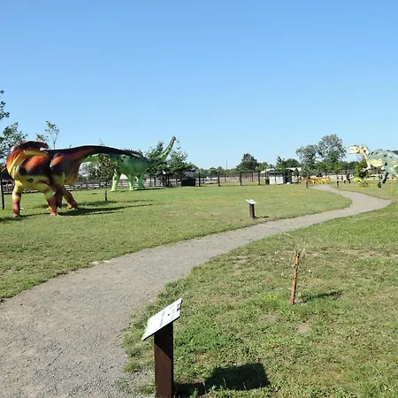 In Near Clean * ジブヌベク