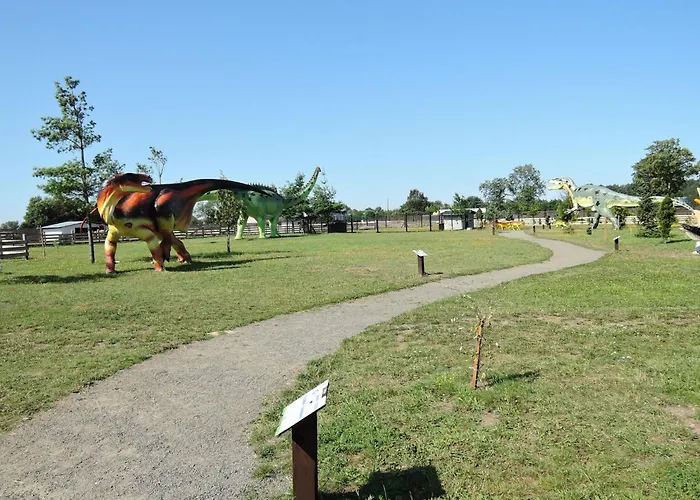 In Near Clean * Dziwnówek